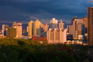 176166