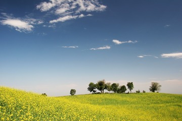 33654