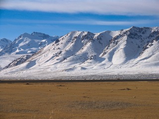 95548