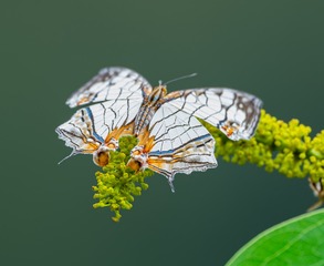 190094