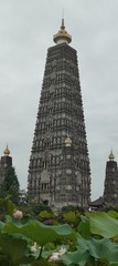 1000006559