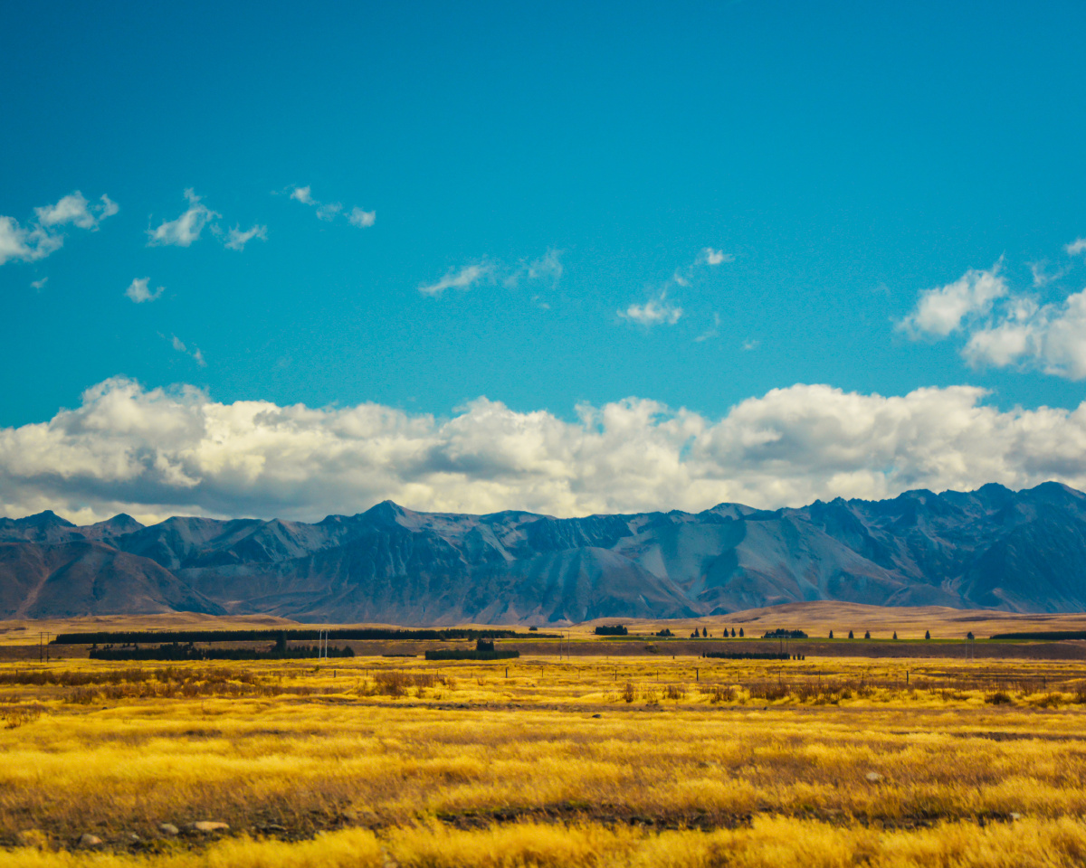 草原的苍茫与温柔