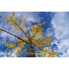 C15FEDB7-63FB-4F13-8877-101E79A9E0D3/L0/001