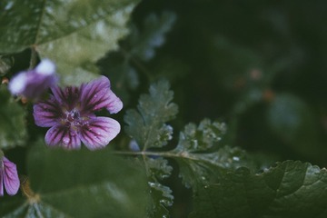 9AA49F05-FE4F-4342-85F9-53F9FBC1A1E8/L0/001