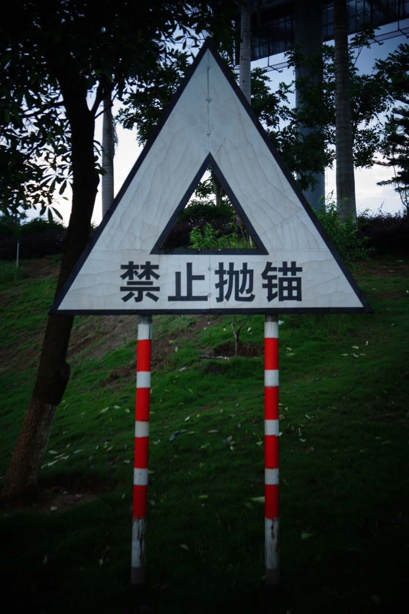 江畔独步寻花虽然并没有寻到