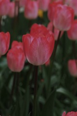 E33572D5-7F6A-4264-A726-2D5FEB17F244/L0/001