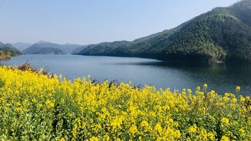 49B35731-8F74-4BD4-B660-FF93960F8005/L0/001