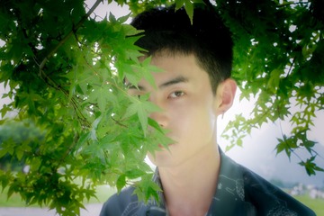 E955129E-5FFF-4850-8B55-28085BF14EB5/L0/001