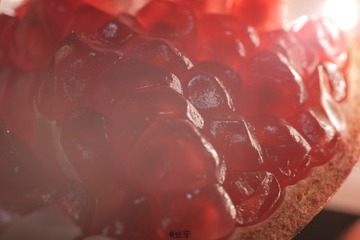 1042581