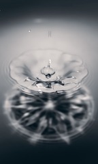 Optional("A325082E-0679-4734-93FB-D6EF32D7F4BD/L0/001")