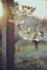 8851ED03-F500-4BD9-8B63-E82CE72A0A1D/L0/001