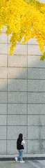209563
