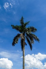 1590556