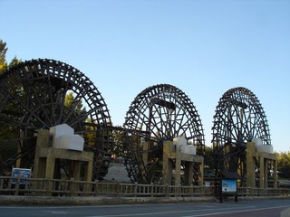 259359