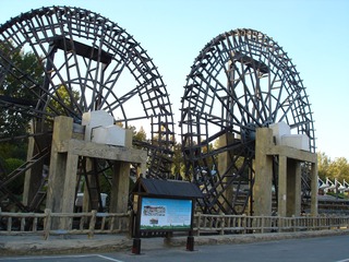 259358