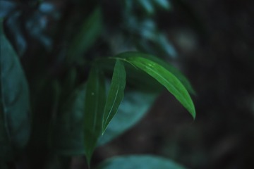 9C9ACD67-3D85-4EB5-874A-89E3C82F209C/L0/001
