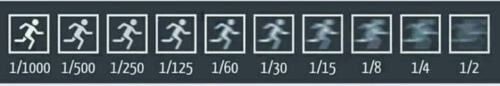 14319356.jpg