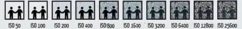 14319359.jpg