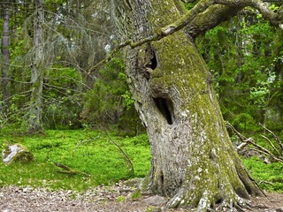 _DSC0070