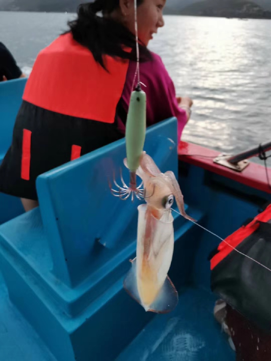 趁着夜色出海钓吹筒不用鱼饵下钩就起真是太痛快了