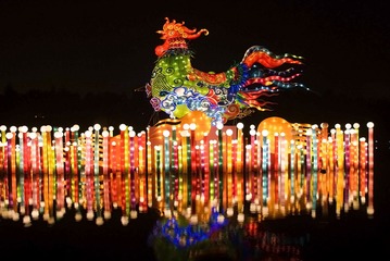 大唐芙蓉园灯会8
