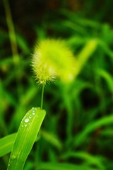2009595