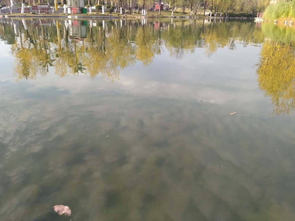 秋天的景