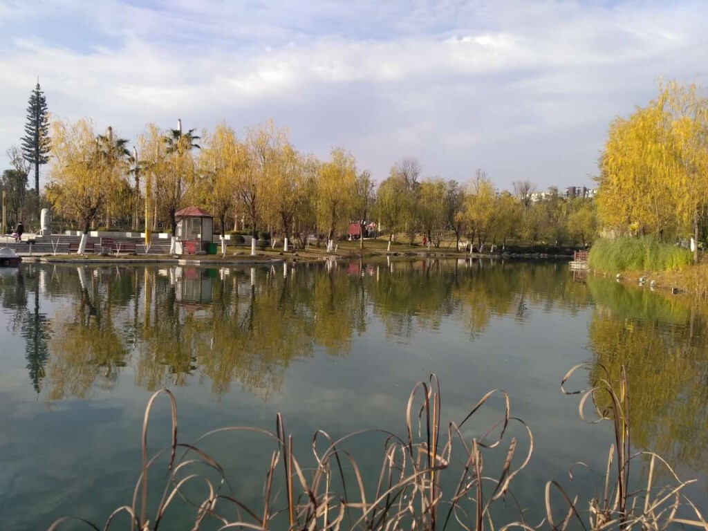 秋天的景