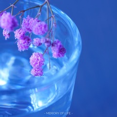 12F9C256-3AEB-4BE6-AB9F-07E83E65D468/L0/001