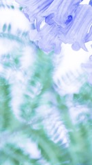 38A9A7E9-B837-4033-854B-CE4F6589F675/L0/001