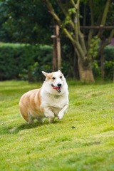 29304