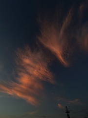 0CF0F60F-FDFB-4D70-A98E-DDF76904DD38/L0/001