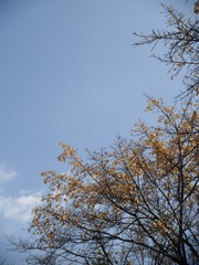 287D1A1A-9EA0-4209-97D9-D2CFFB2A97CD/L0/001