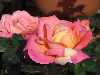 FE9913E6-5E40-484D-B614-D8721F2B794E/L0/001