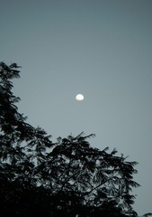 939CD43D-EC2D-4982-A482-04DFA16066B1/L0/001