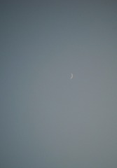 34897AA4-DF25-4E40-A013-B65331C360B9/L0/001