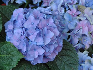 33DF2449-D030-4D82-BEEA-B575E8EEA686/L0/001