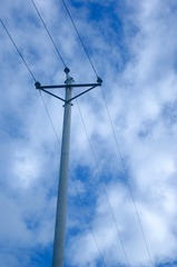 1650436