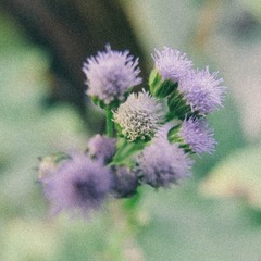 8911492D-D03C-49EB-A6F7-4019FD553506/L0/001