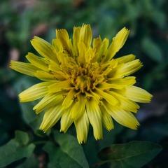 5268709B-B73B-40FE-BD8A-ED6BF151467E/L0/001