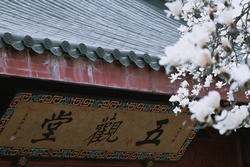 CC166145-3A61-4FFB-A493-91E58711E1D8/L0/001