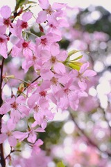 C1A7E700-8C37-461B-9A4D-8C887000EEAF/L0/001