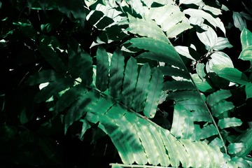A561D35D-7C26-4274-9B3F-3E15D313293D/L0/001