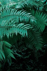 81B3C8CD-E16F-4E50-8454-C975B63D21DA/L0/001