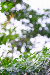 FE922A1C-A1C0-4549-A3DC-50465AE9D74D/L0/001