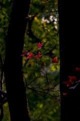 20201206_0031