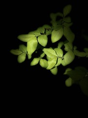 7F9AA5AB-20A9-422E-937E-DE3C8896D1CF/L0/001