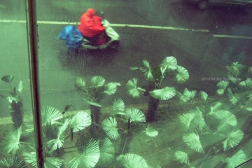 雪-2009