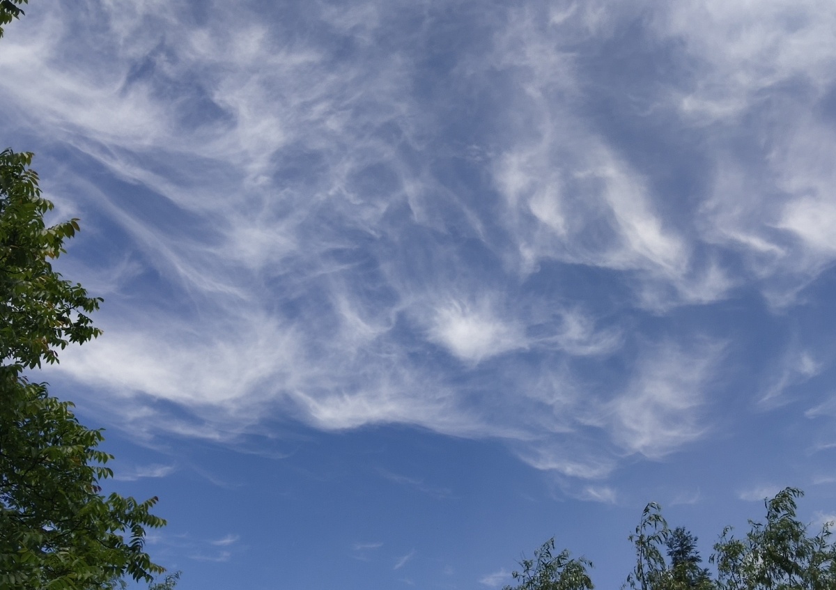 今天天气好晴朗!