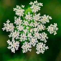 7B5A2012_1800